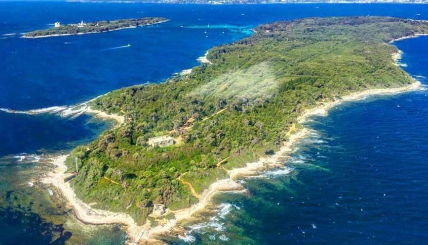 Magnifique "Gite De La Garoupe" Au Cap D'Antibes A 300M Des Plages Eksteriør bilde