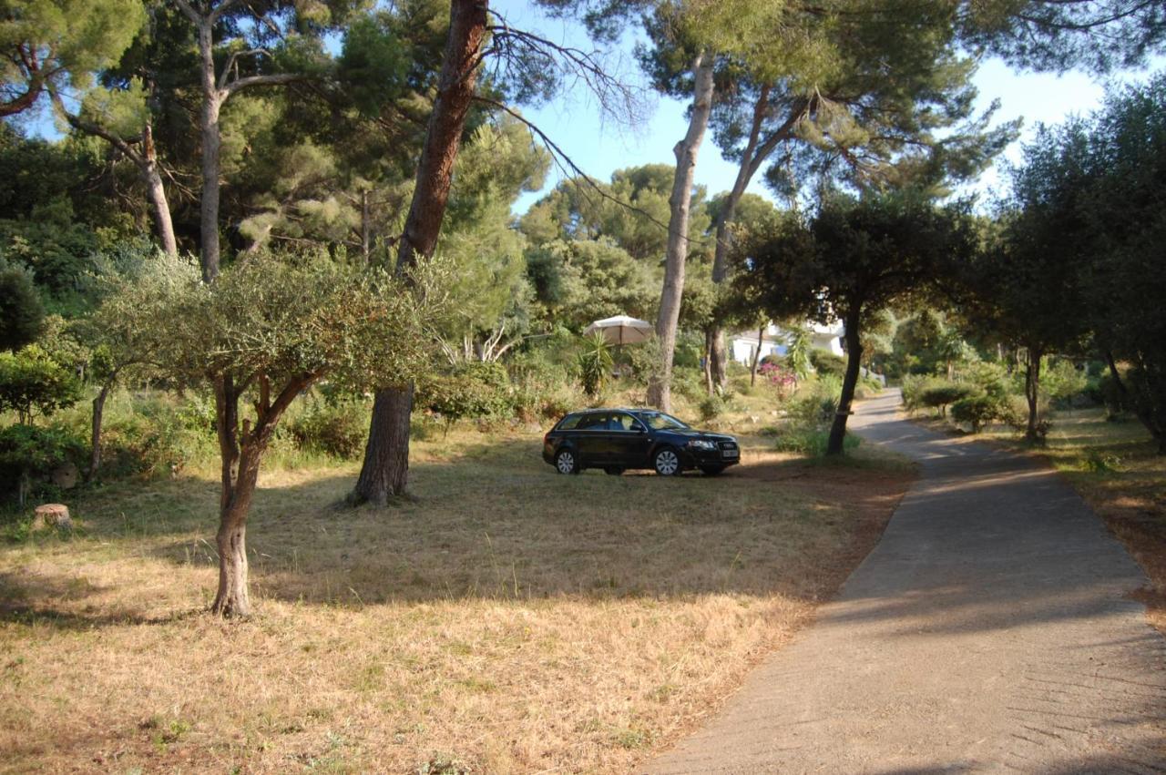 Magnifique "Gite De La Garoupe" Au Cap D'Antibes A 300M Des Plages Eksteriør bilde